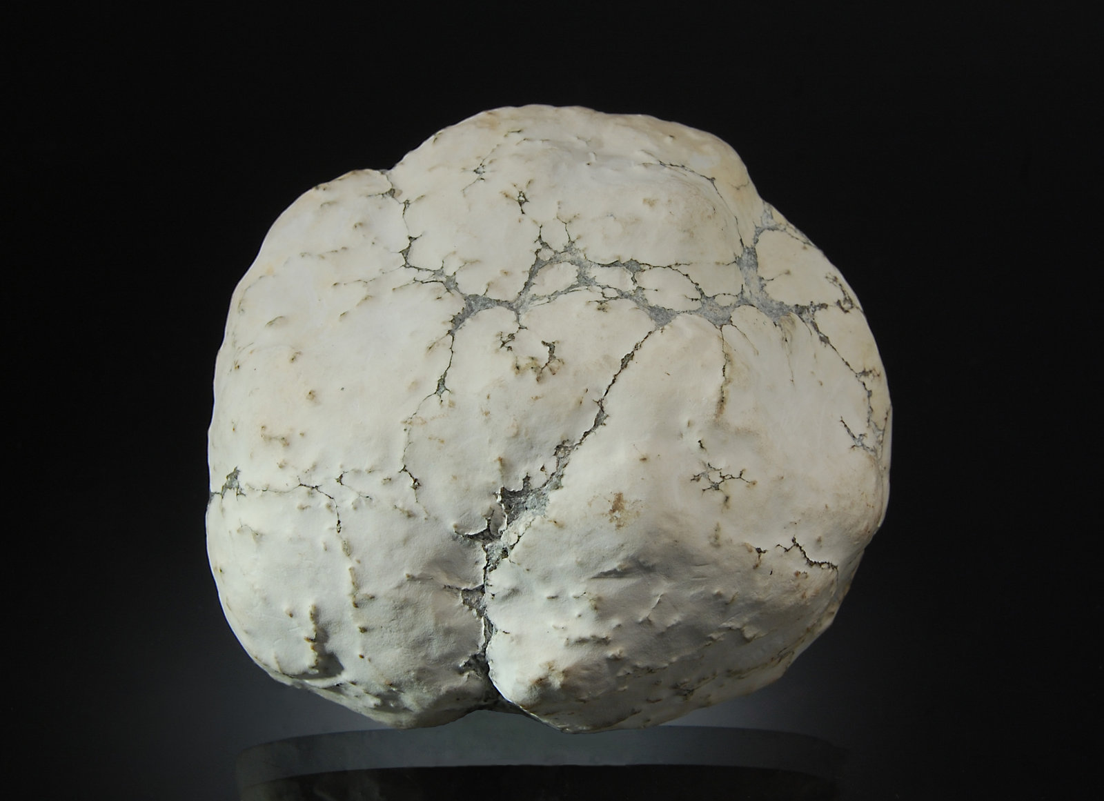 Datolite
2.0 x 6.5 x 7.5 cm.
(Autor: Michael Shaw)