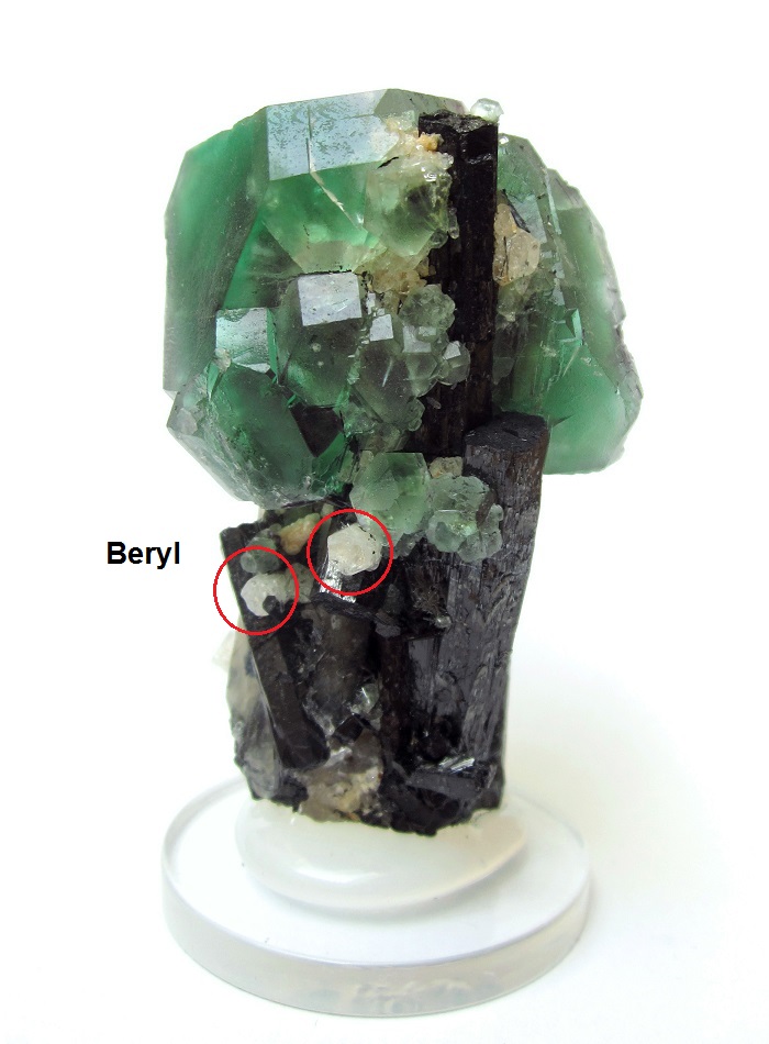 Fluorite, quartz, schorl, beryl (backside)
Specimen height 6,5 cm, fluorite measures 4 cm, quartz 6 cm, largest schorls 6 cm
(Autor: Tobi)