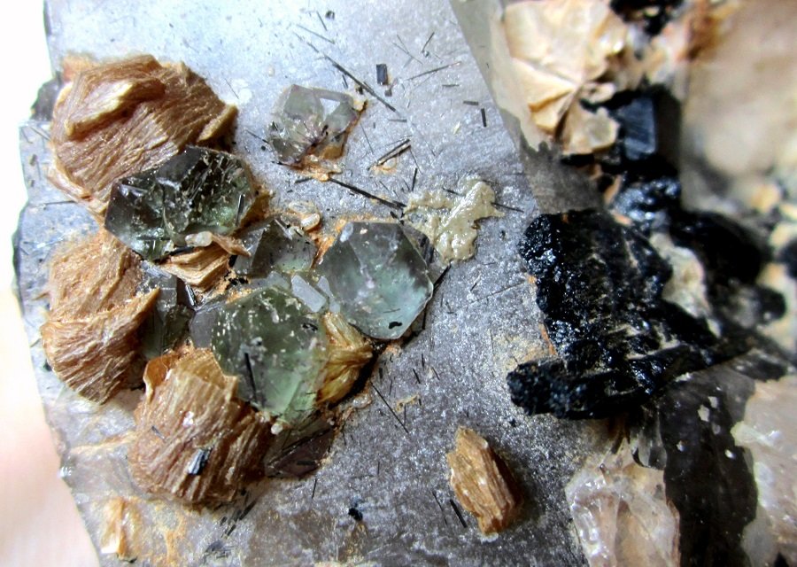 Quartz, Feldspar, Schorl, Muscovite, Fluorite
FOV 5 cm
(Autor: Tobi)