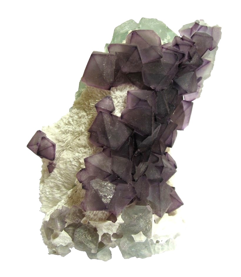 Fluorite
Specimen height 9,5 cm, largest fluorite crystal 1,5 cm
(Autor: Tobi)