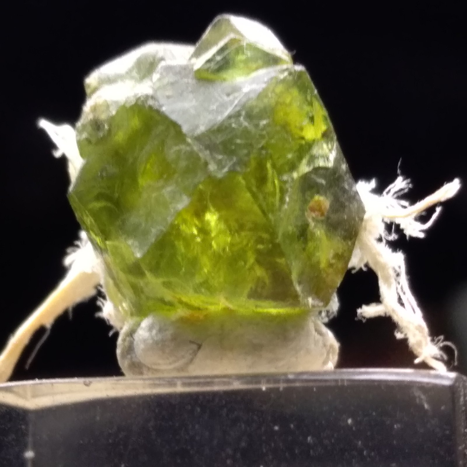 Andradite (variety demantoid)
12 mm
(Autor: Sante Celiberti)