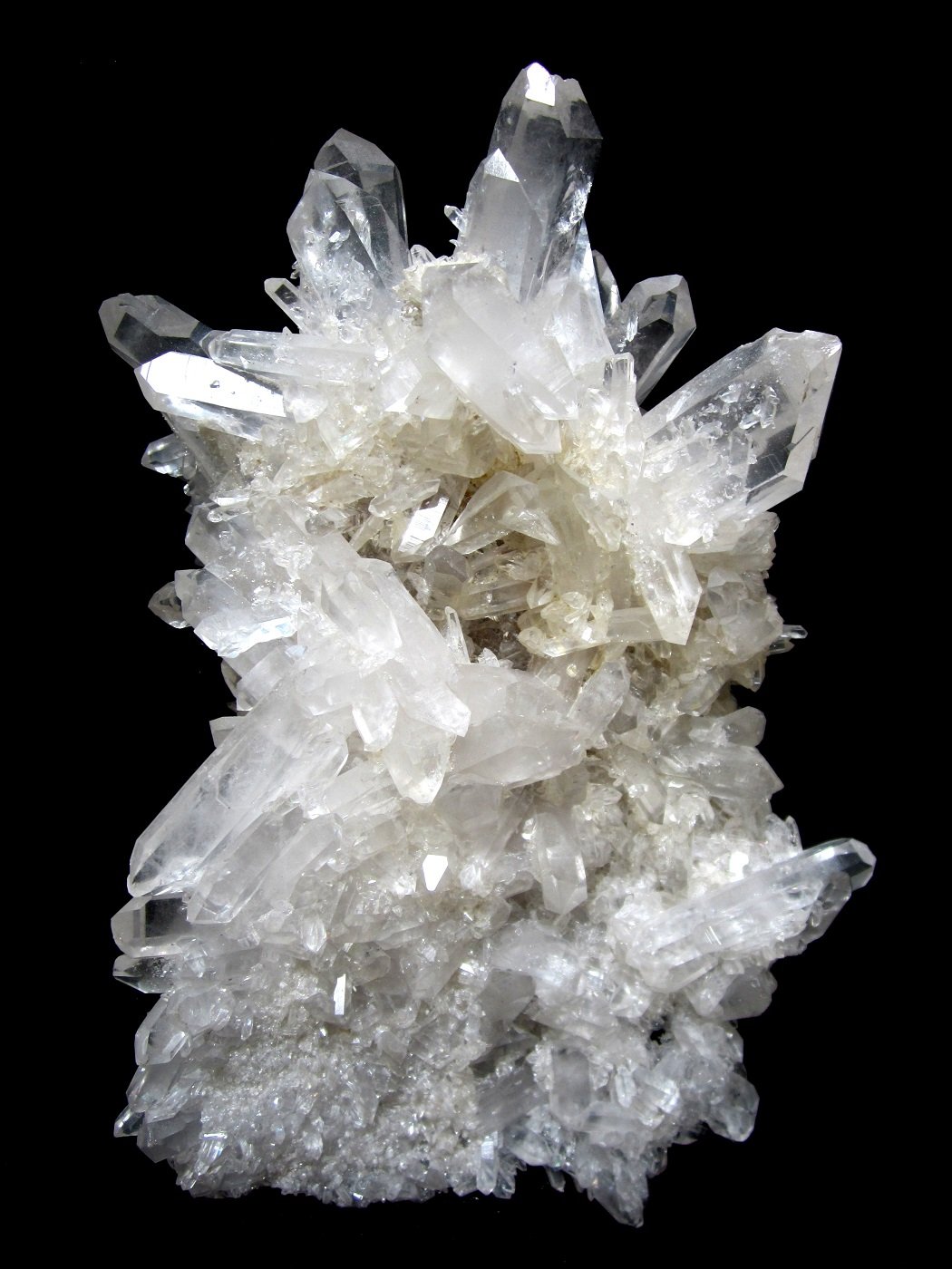 Specimen height 20 cm
(Autor: Tobi)