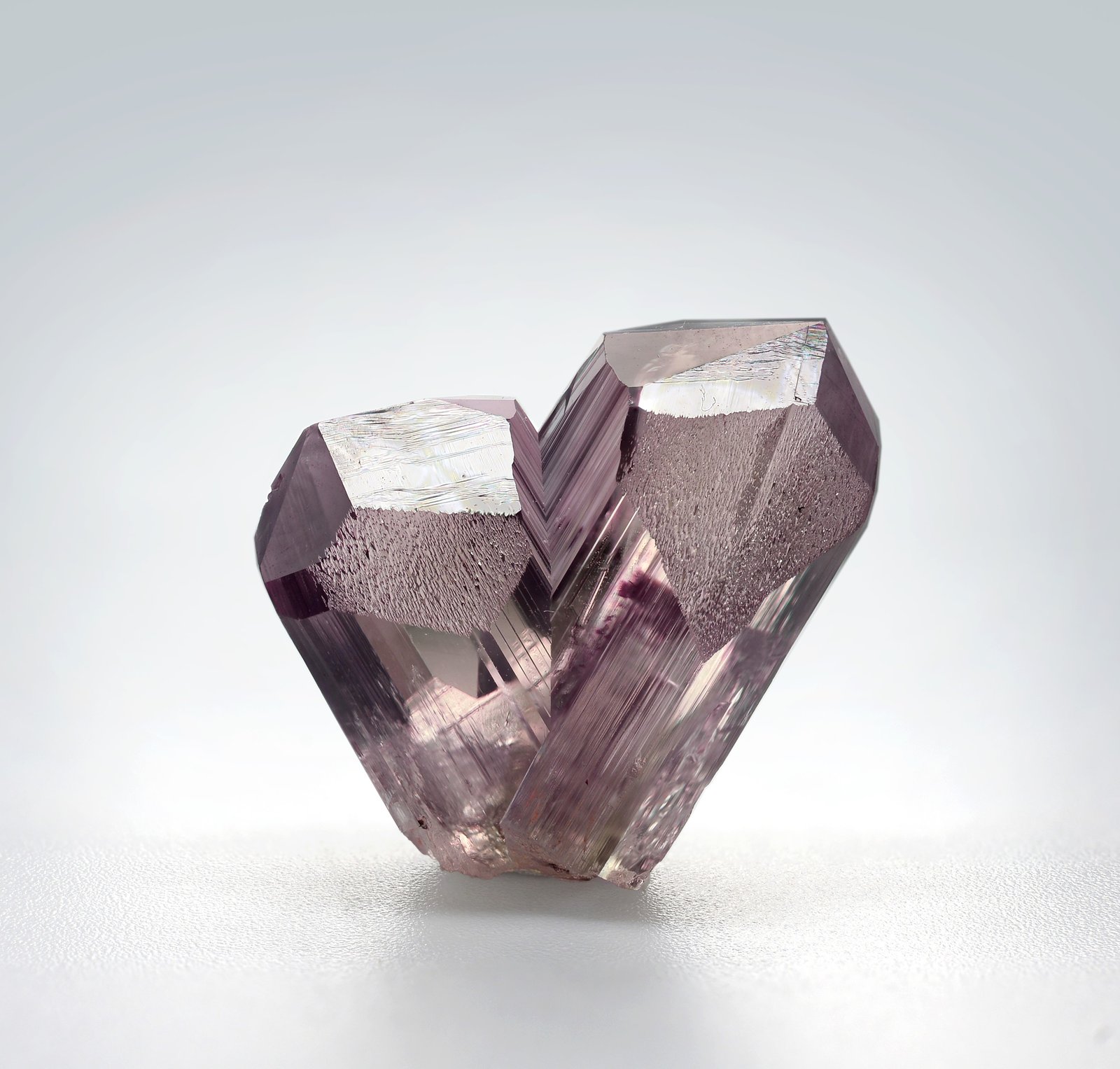 Diaspore
19 x 17 x 8 mm
(Autor: TamaHiguchi)