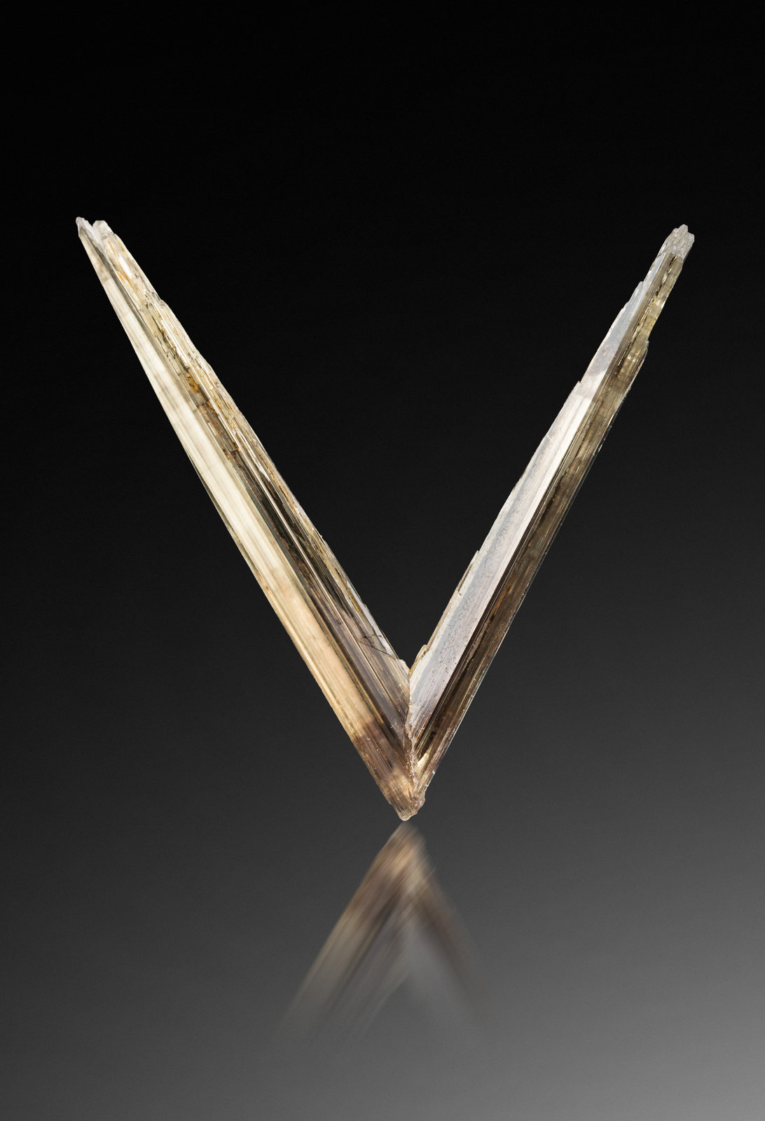 Diaspore
6.5 x 2 x 6 cm
(Autor: MIM Museum)