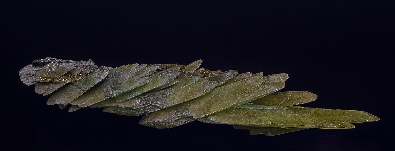 Diopside
6.6 x 1.1 cm
(Autor: am mizunaka)