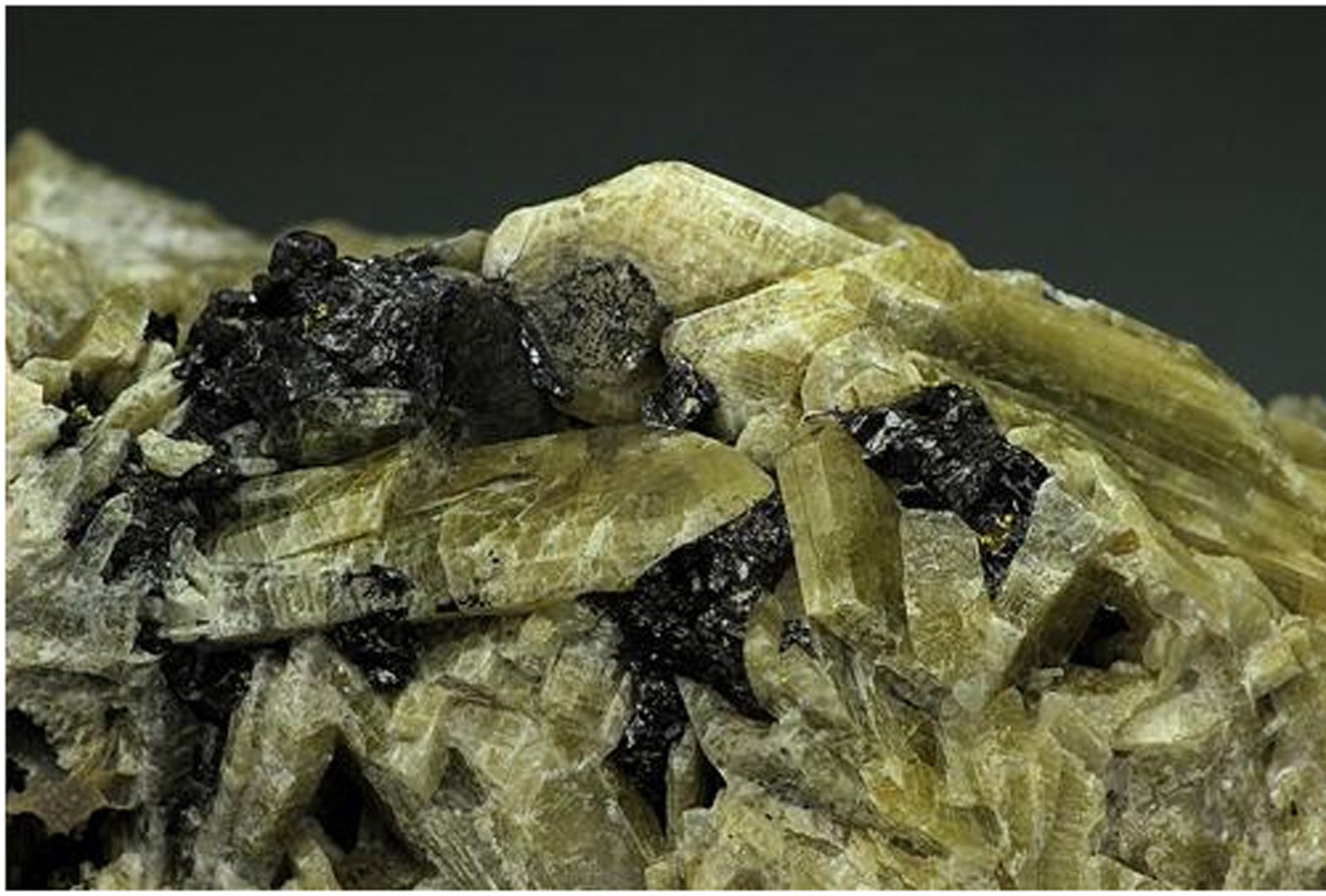 Diopside
H:9.5cmxW:5cmxD:6cm; crystals up to 4 cm
(Autor: Adrian Pripoae)