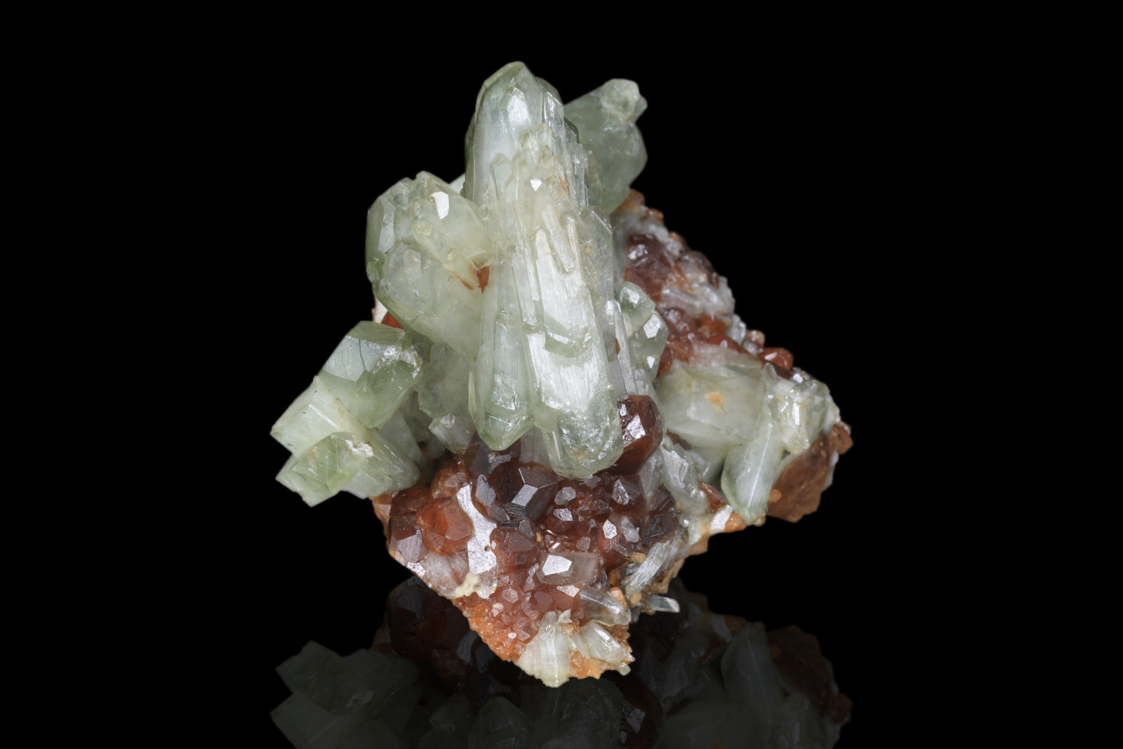Diopside on Grossular (variety hessonite)
7 x 6 x 5 cm / main crystal: 4.3 cm.
(Autor: MIM Museum)