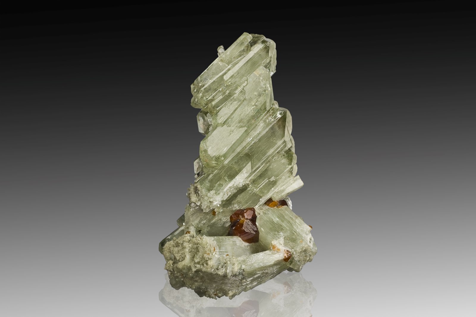 Diopside with Grossular (variety hessonite)
3.5 x 5 x 8 cm / main crystal: 5.1 cm.
(Autor: MIM Museum)