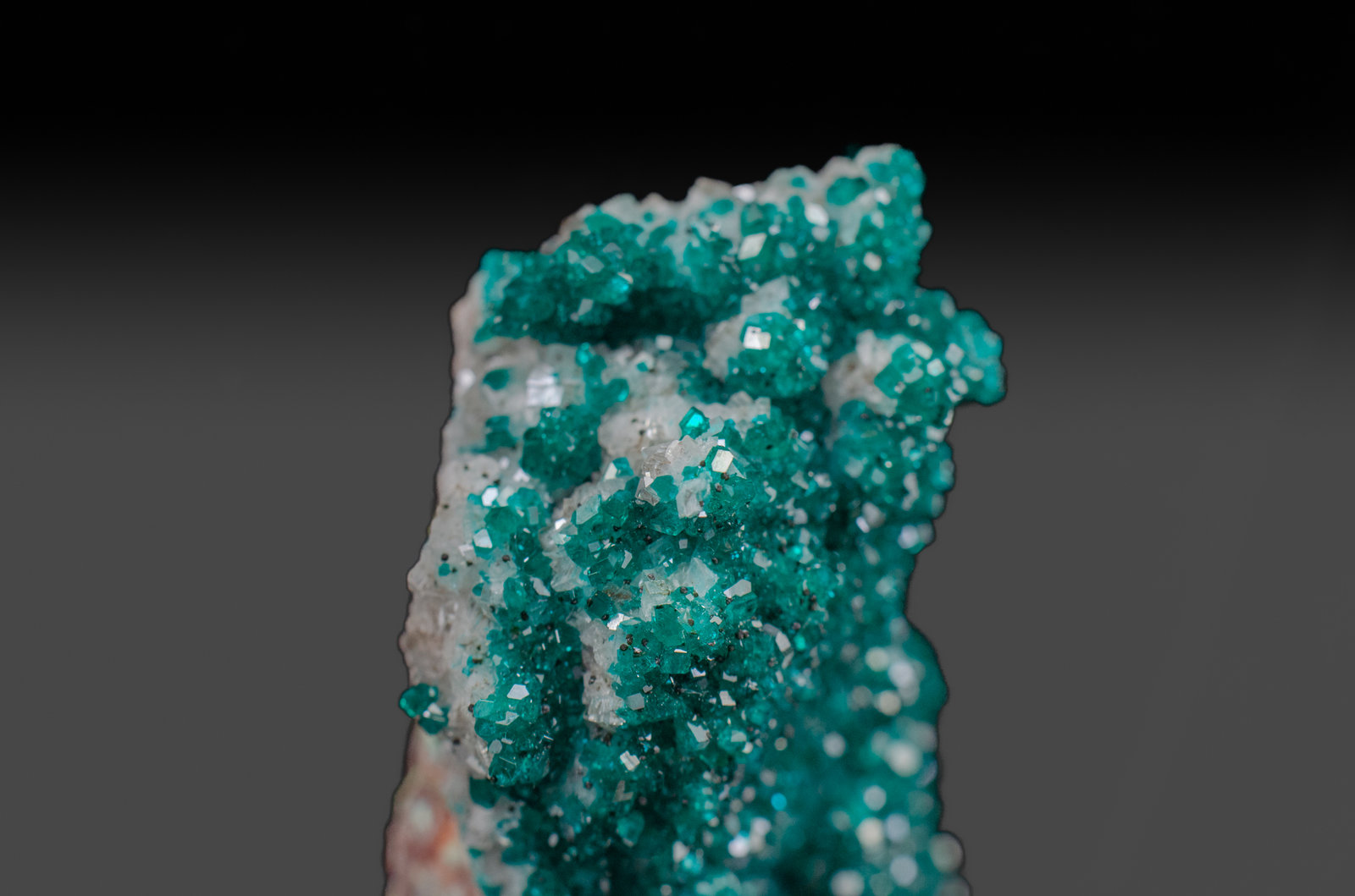 Dioptase on Calcite
5.5cm x 5cm x 7.5cm
(Autor: k-m.minerals)