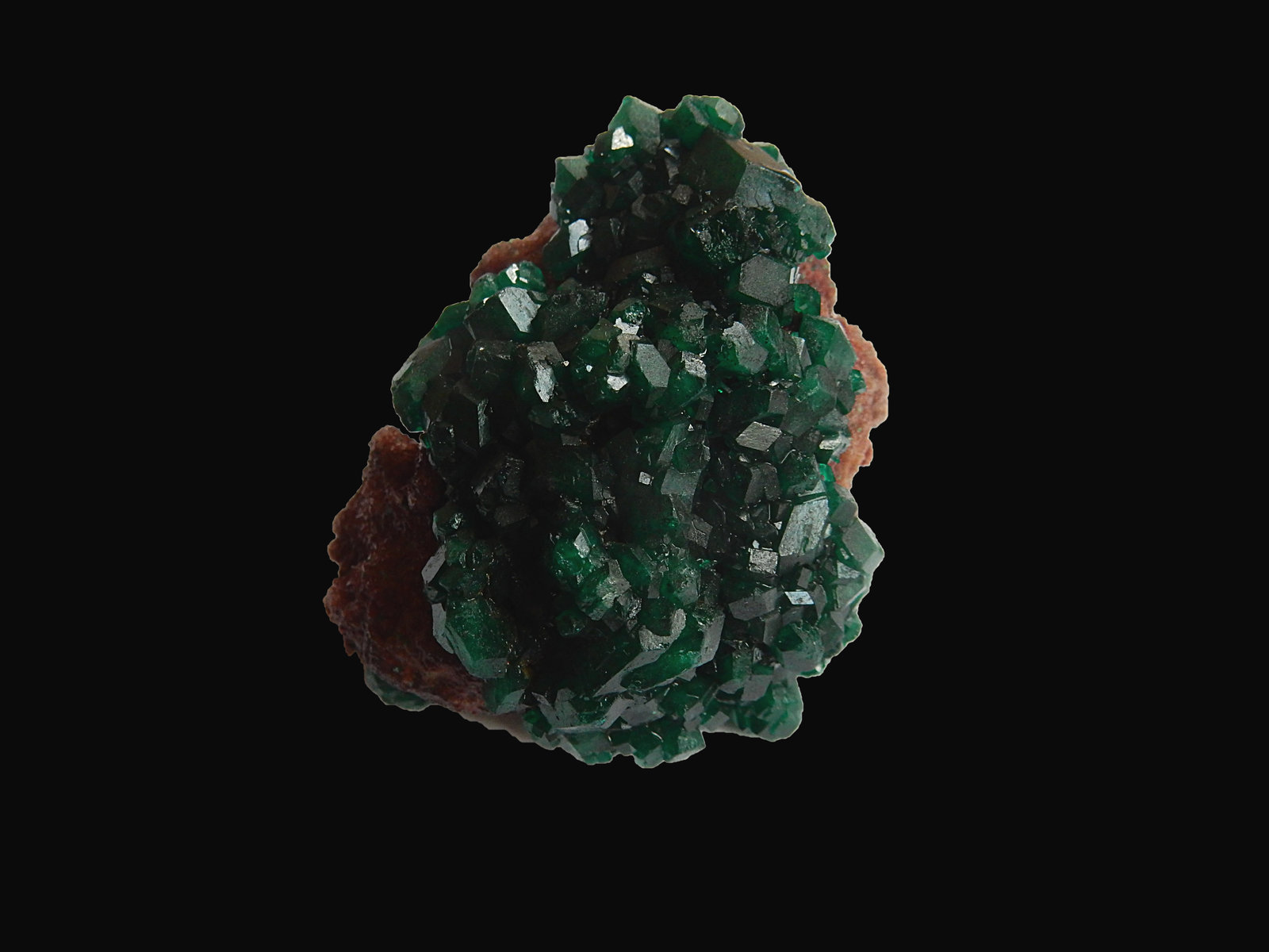 Dioptase
60 mm x 50 mm x 30 mm
(Autor: Dany Mabillard)