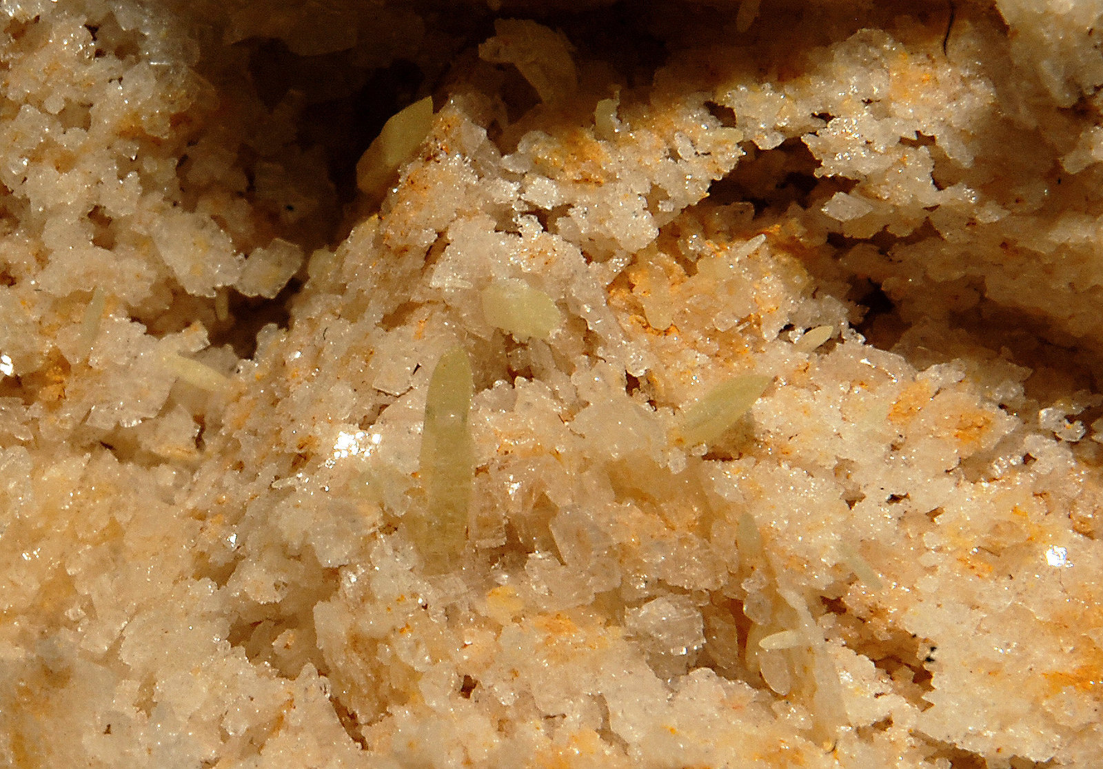 Dolomite with Mimetite
6.1 x 7.7 cm
(Autor: Michael Shaw)