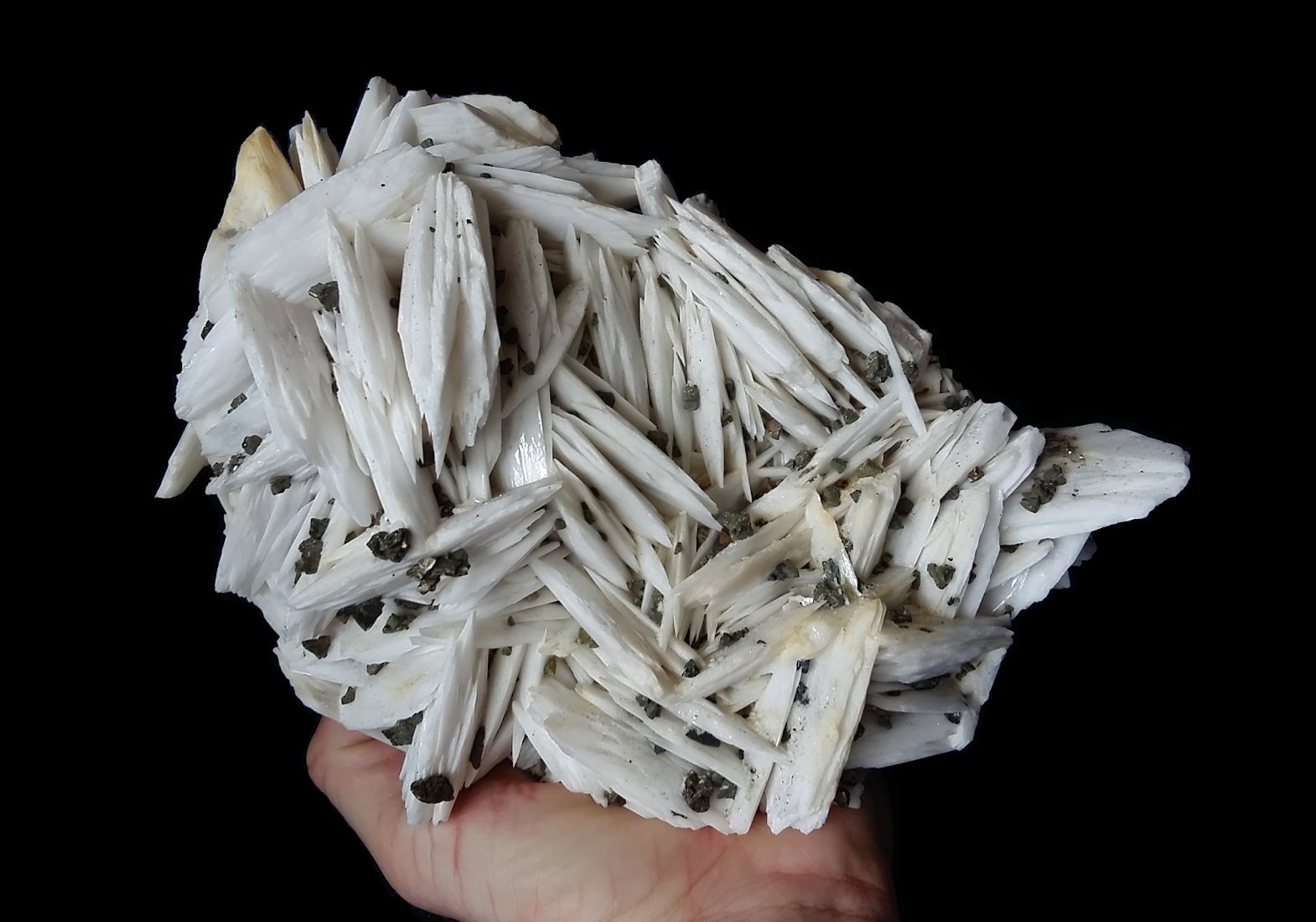 Baryte, chalcopyrite
Specimen size 20 x 15 cm
(Autor: Tobi)
