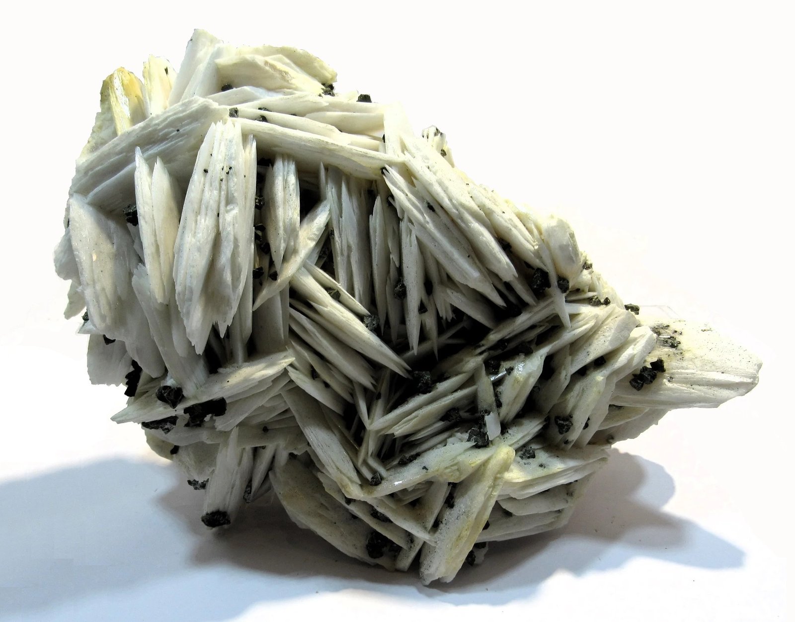 Baryte, chalcopyrite
Specimen size 20 x 15 cm
(Autor: Tobi)
