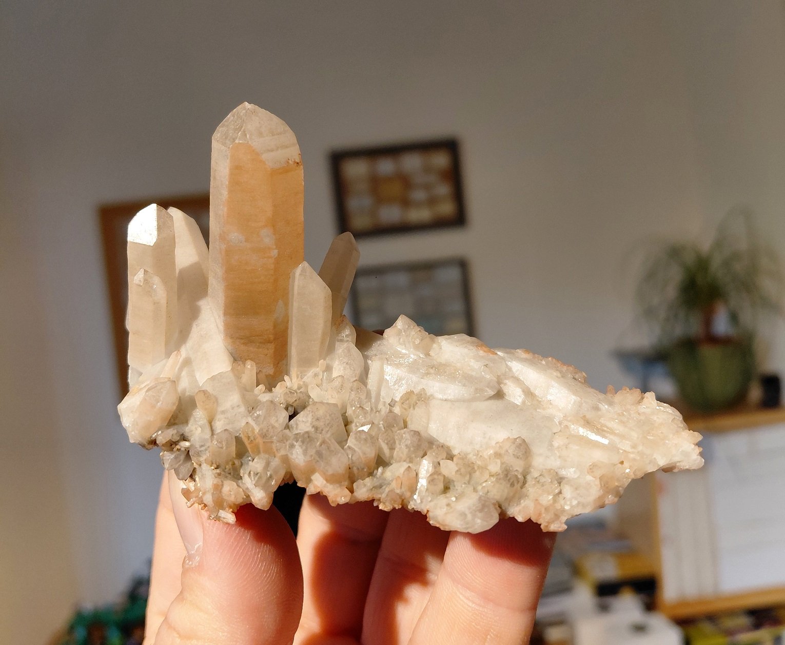 Quartz, hematite
Specimen size 10 cm, largest quartz crystal 5 cm
(Autor: Tobi)