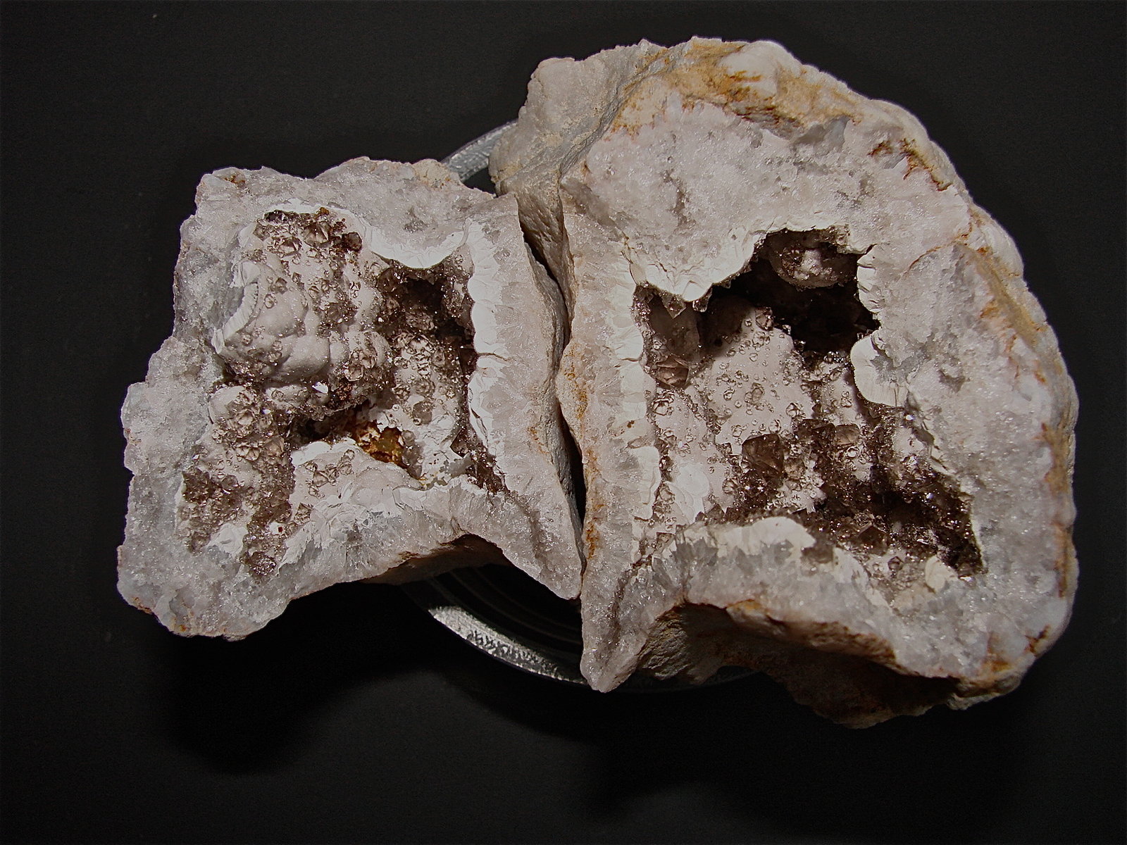 Quartz replacing fossil
about 6 cm maximum dimension
(Autor: Bob Harman)
