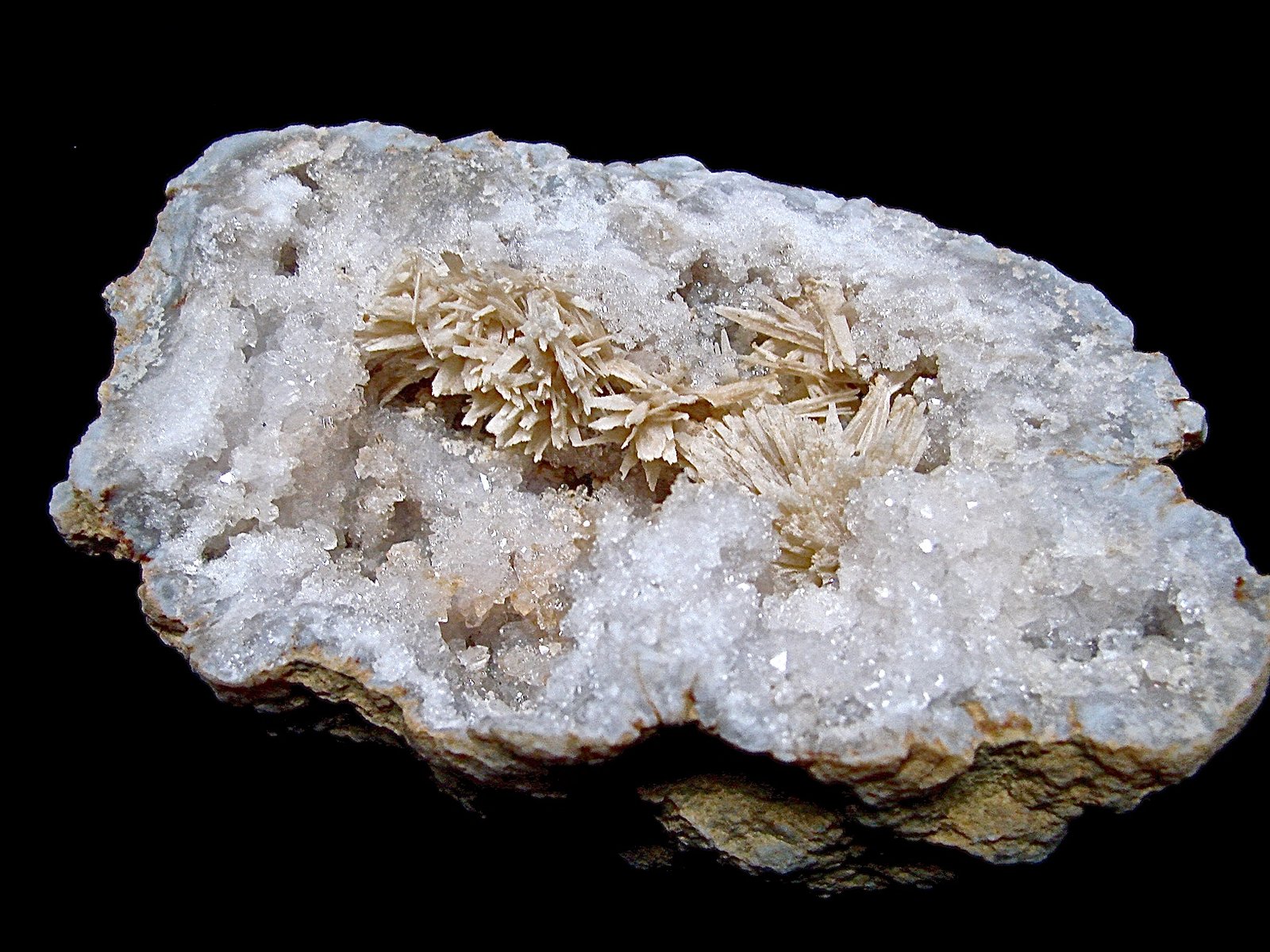 Aragonite on Quartz
oval geode is 12cm x 7cm.    The aragonite sprays range from 1.3cm to 3.5cm
(Autor: Bob Harman)