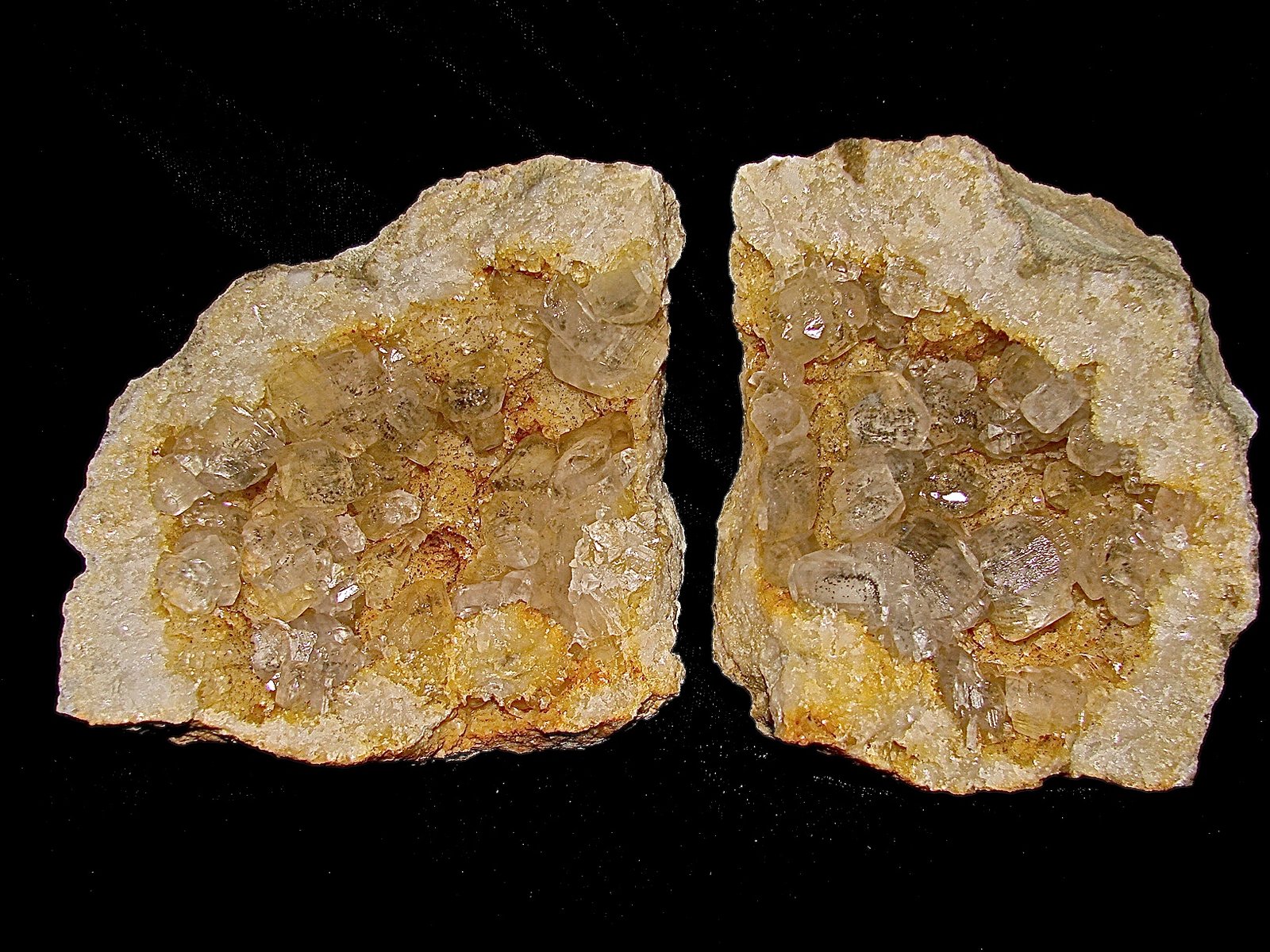 Calcite with Marcasite inclusions on Dolomite
specimen is  9 cm, the calcites are up to 1.2 cm
(Autor: Bob Harman)