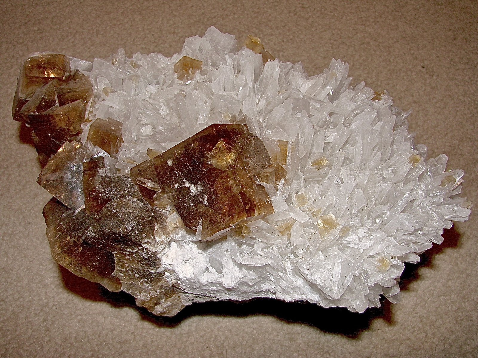 Fuorite and Celestine
specimen is 20 cm, largest fluorite cube is 4.5 cm, celestine blades are about 3.3 cm
(Autor: Bob Harman)