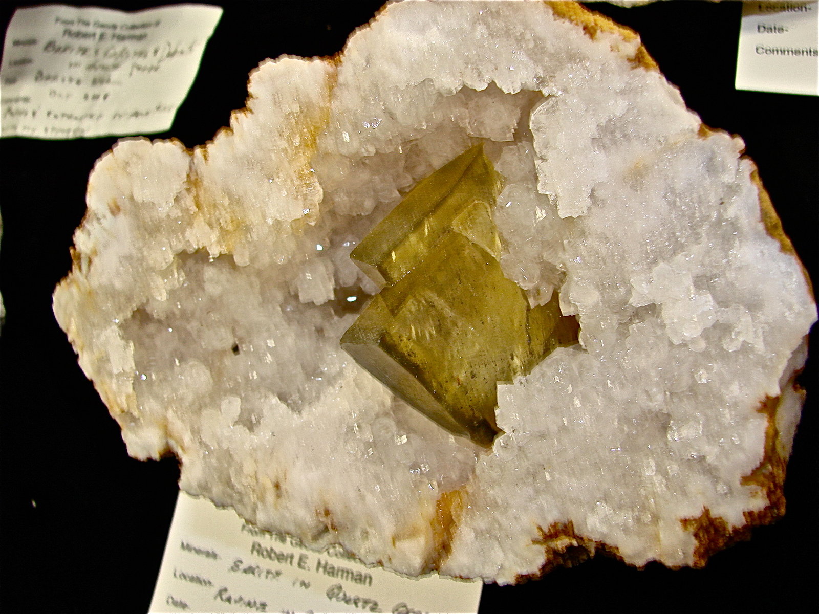 Barite on Quartz
4.5 cm x 3.3 cm x 1.0 cm thick
(Autor: Bob Harman)