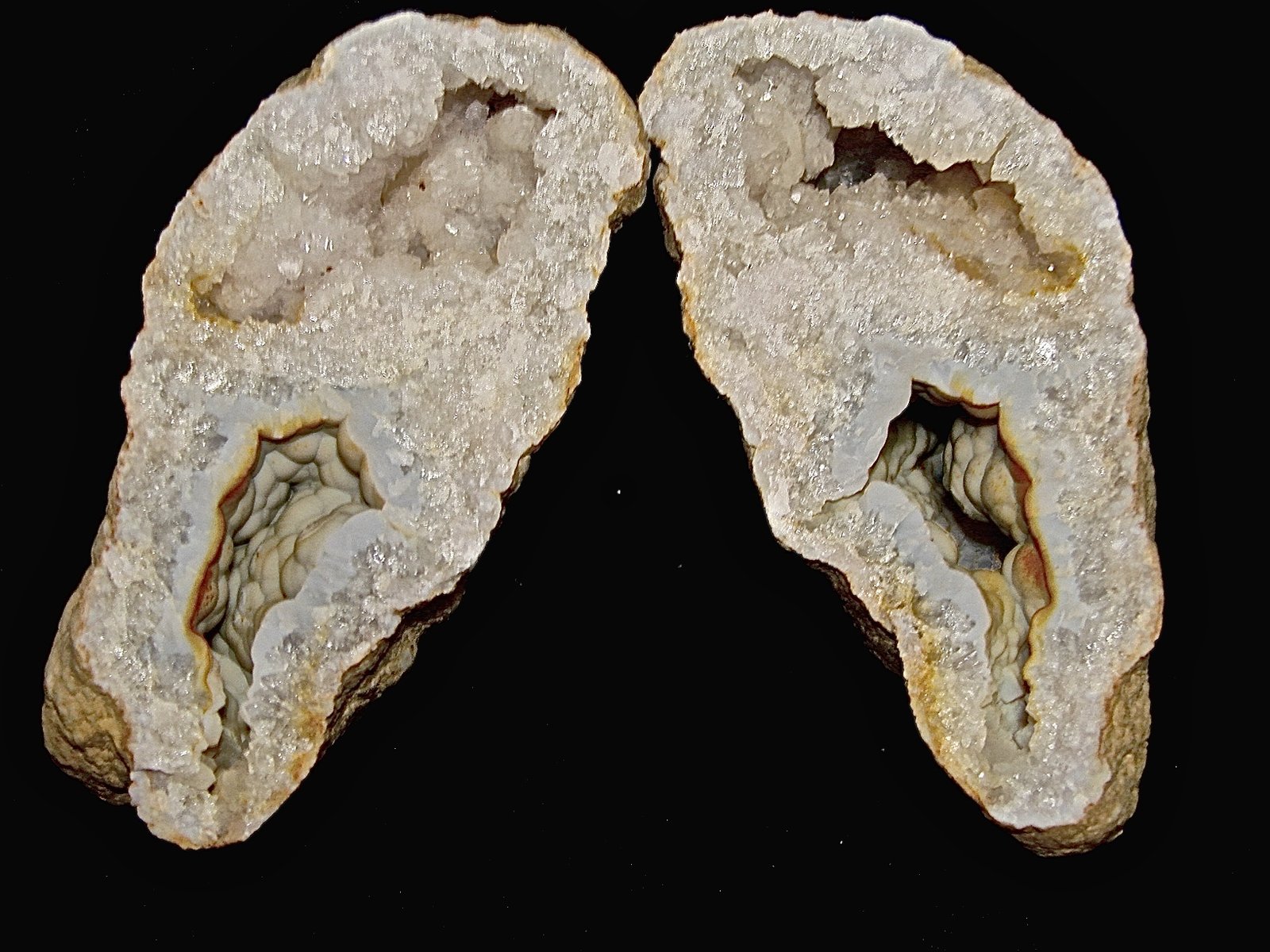 Quartz and Quartz (variety chalcedony)
geode is 13 cm x 6 cm. Each cavity is about 6 cm max dimension
(Autor: Bob Harman)