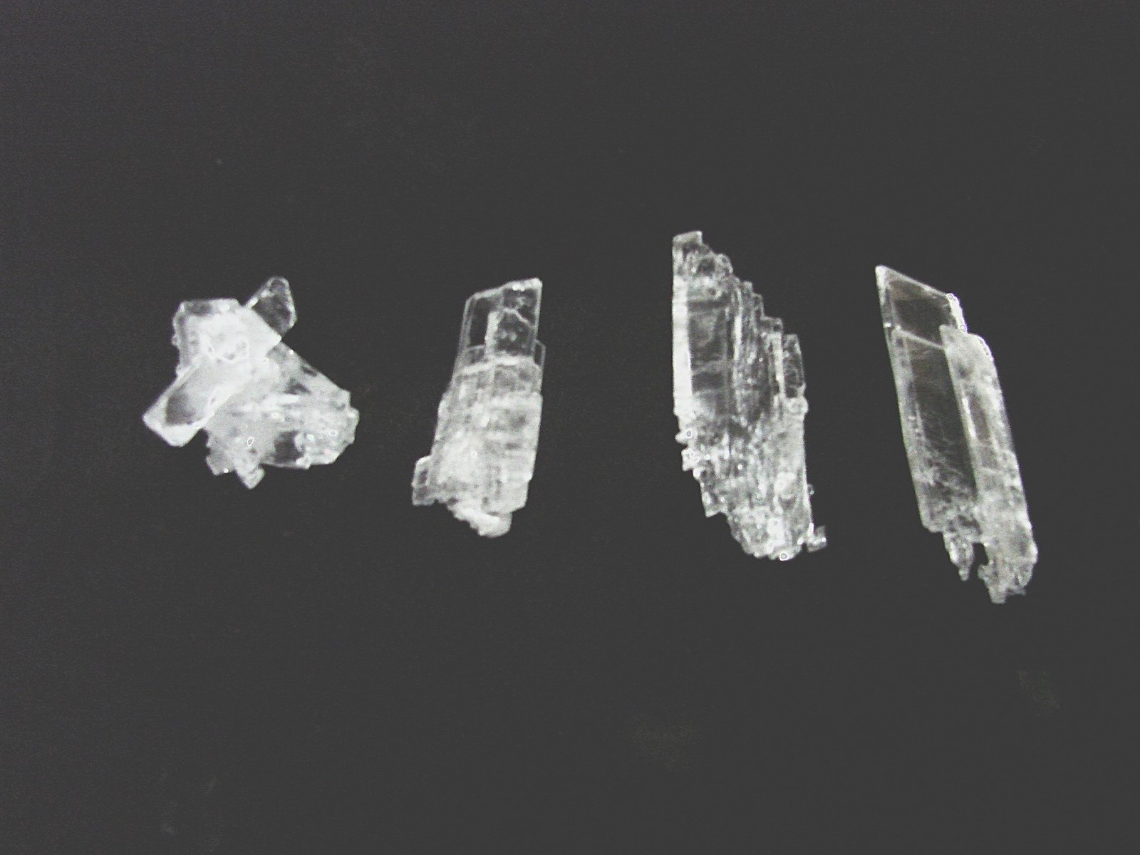 Gypsum (variety selenite)
largest crystal is 5.5 cm
(Autor: Bob Harman)