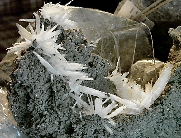 Celestine
blades up to 4 cm in length, groupings up to 7 cm and the whole example about 18 cm across
(Autor: Bob Harman)
