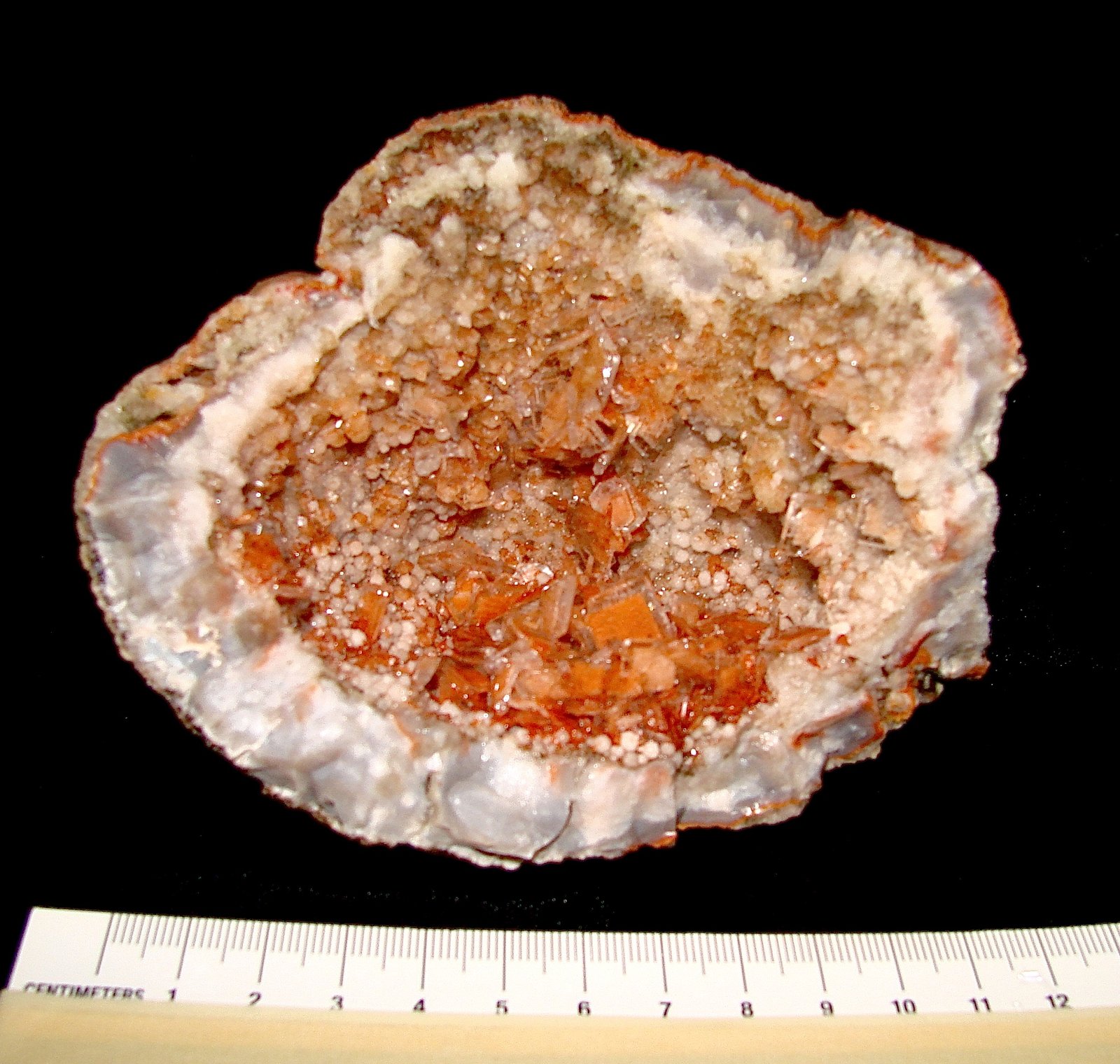 Celestine and Calcite
The largest Celestine crystals are 0.9 cm
(Autor: Bob Harman)