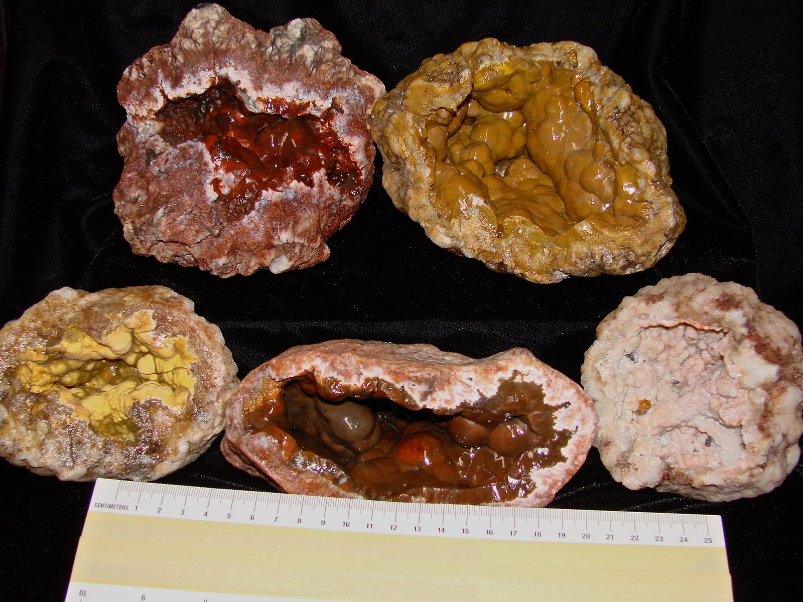 Quartz (variety chalcedony) with iron oxides
from about 8 cm to 13 cm
(Autor: Bob Harman)