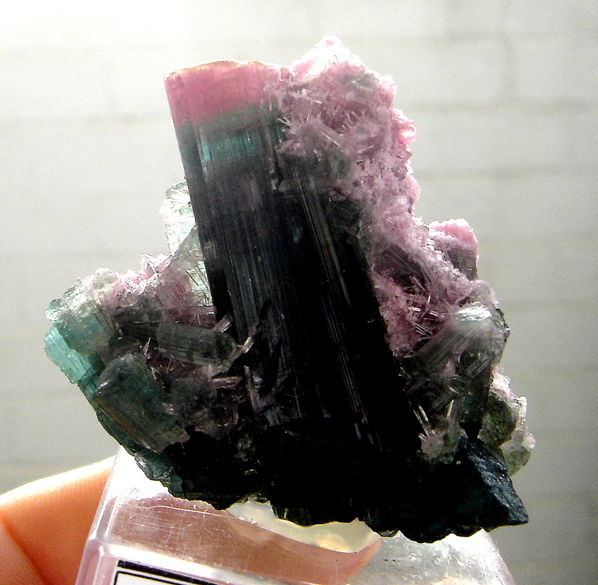 Elbaite
5 x 4,5 x 3 cm
(Autor: Anísio Cláudio)