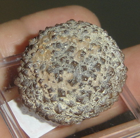 Goethite
4 x 3,4 x 3,4 cm
(Autor: Anísio Cláudio)