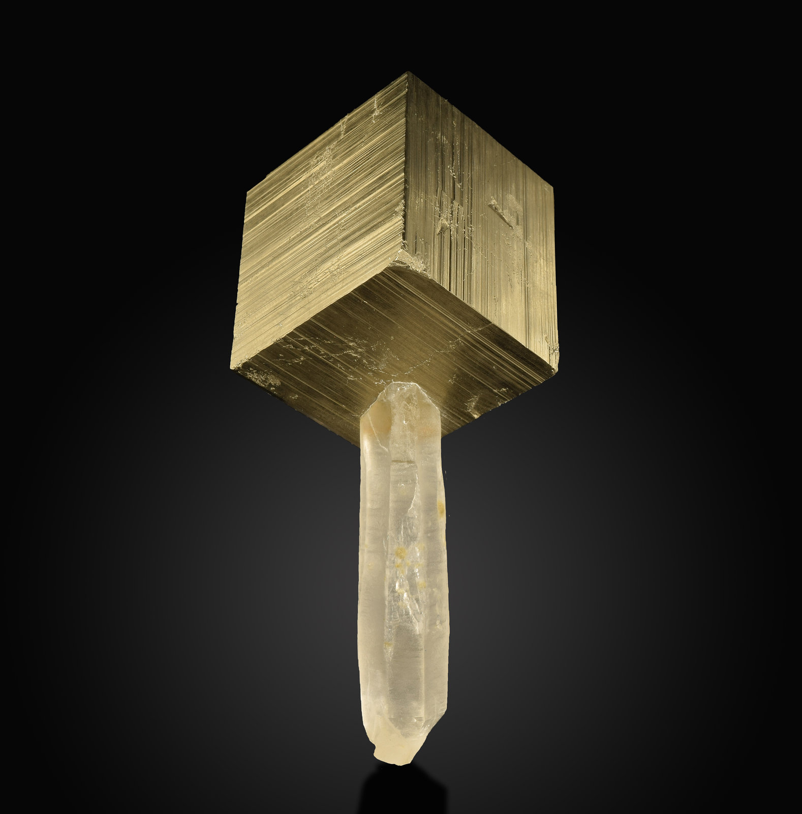Pyrite and quartz
6.1 cm, pyrite is 2.5 cm on edge
(Autor: dontgogreen)
