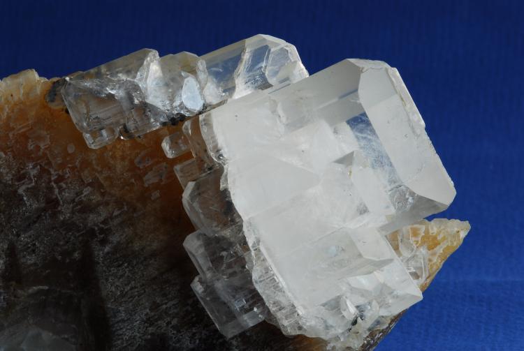 (Autor: Enrique Llorens)