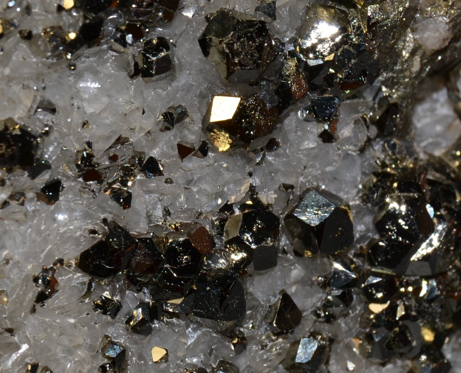 Quartz, Calcite, Pyrite
aprox. FOV 2,5 x 2,5 cm
(Autor: Vitomorim)