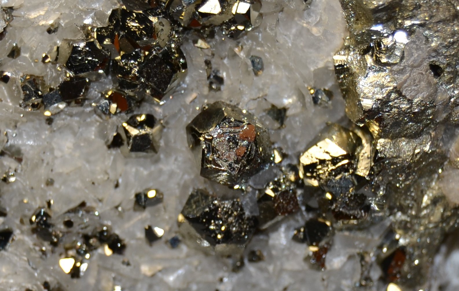 Quartz, Calcite, Pyrite
aprox. FOV 2,5 x 1,5 cm
(Autor: Vitomorim)