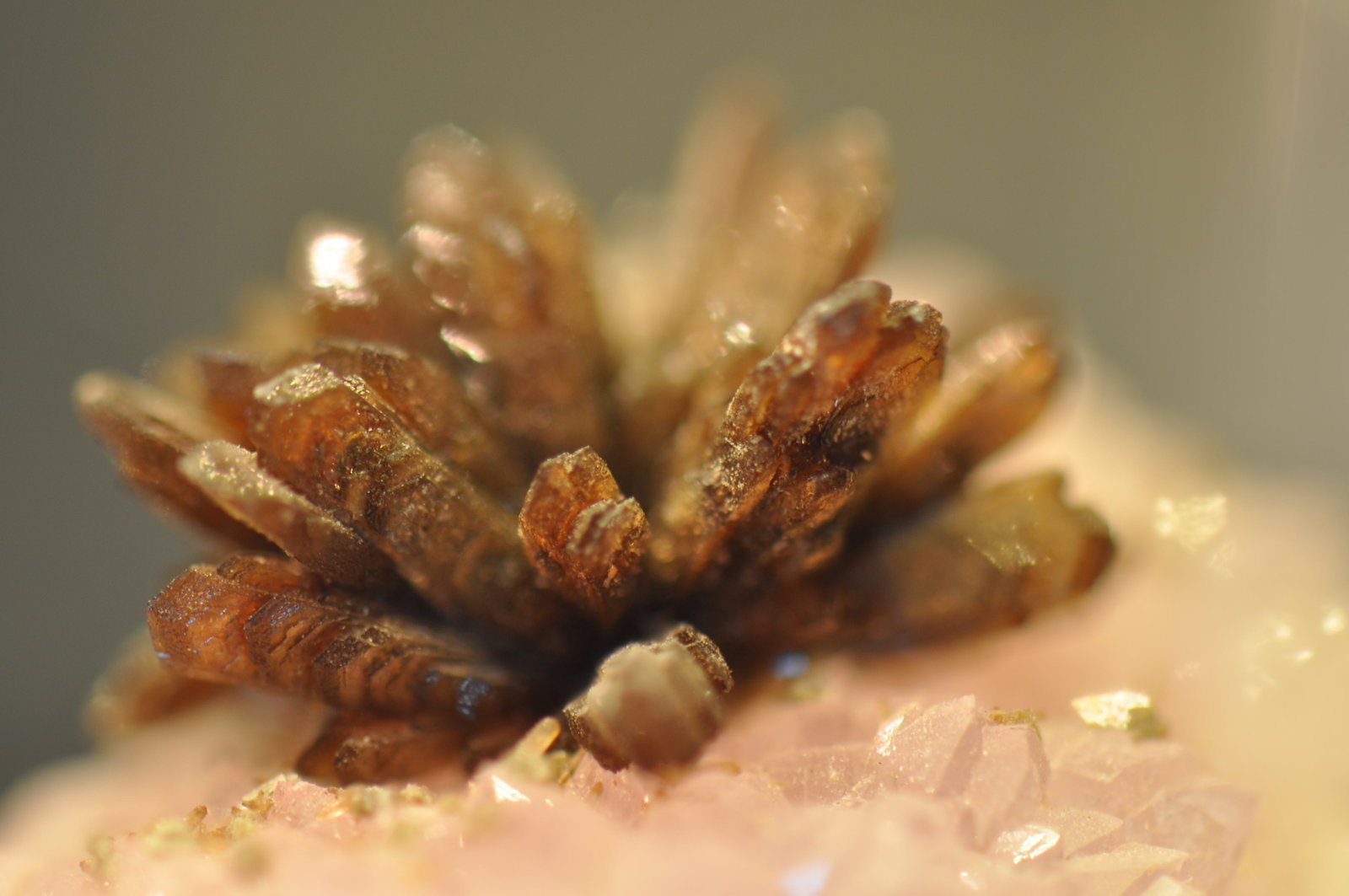 Eosphorite on Rose Quartz with Zanazziite
1.6 cm
(Autor: Gail)