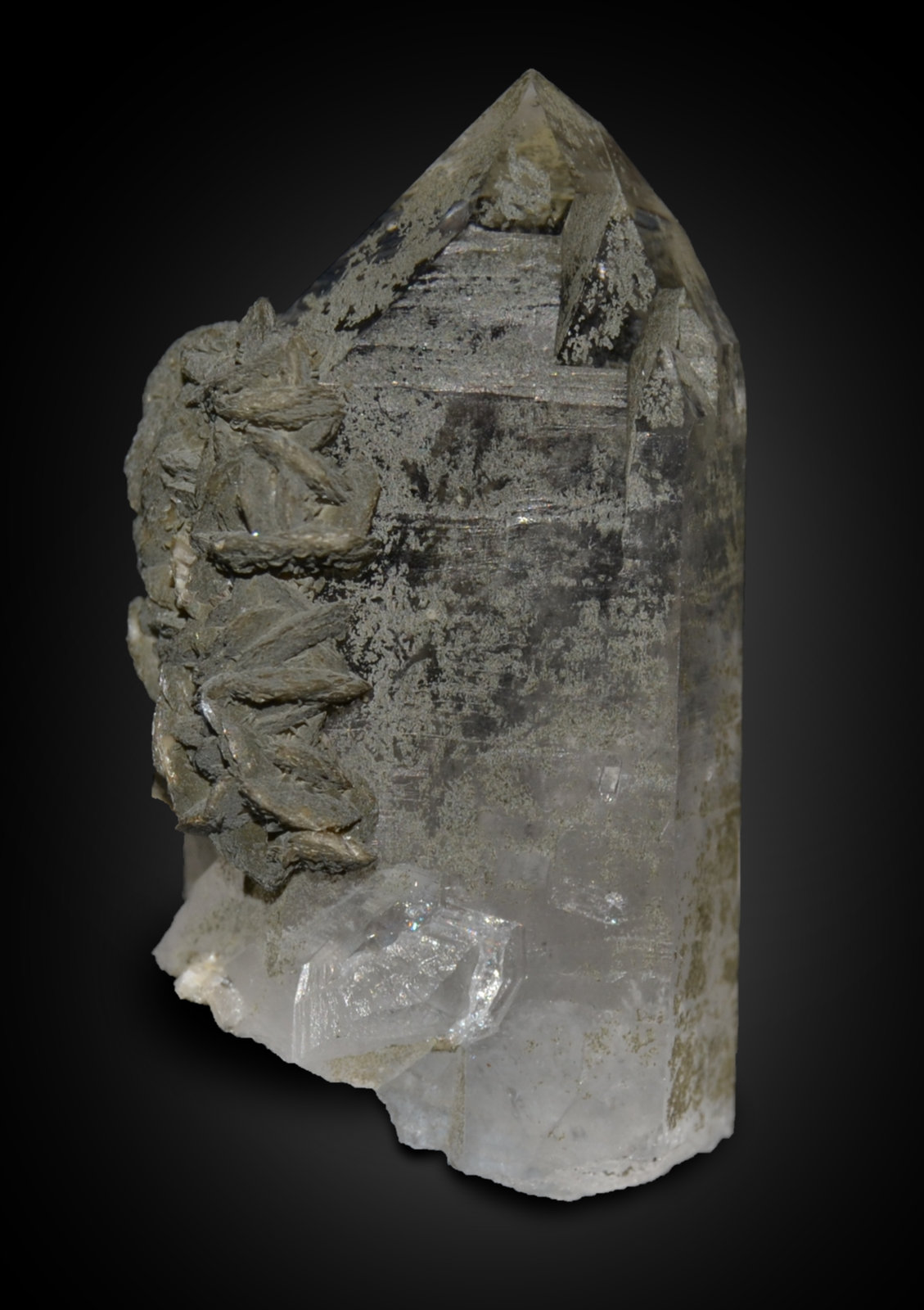 Quartz, Chlorite, Siderite
1,6 x 1,3 x 3 cm
(Autor: Vitomorim)