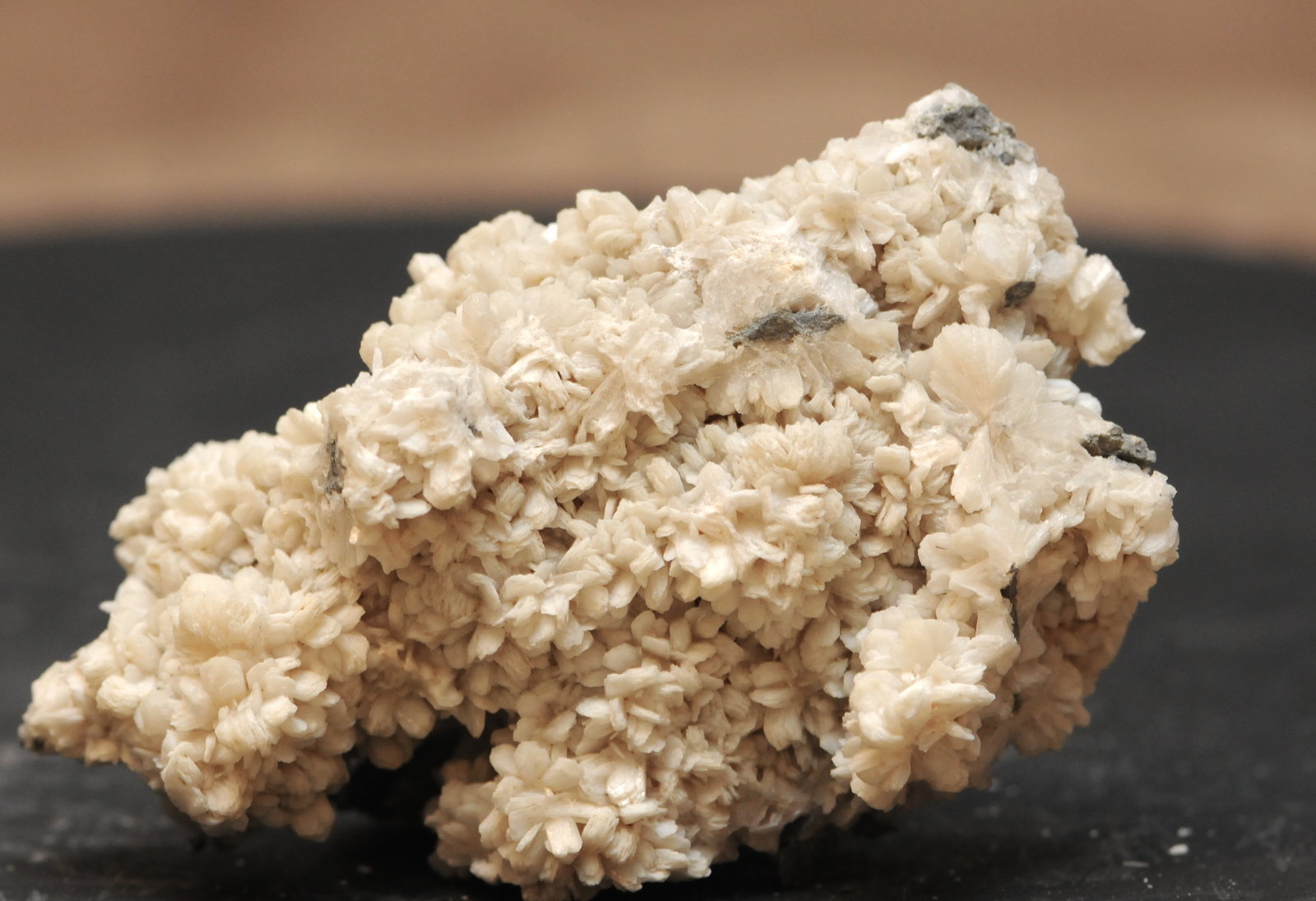 Stilbite
8.6 x 4.8 x 2.8 cm
(Autor: steven calamuci)