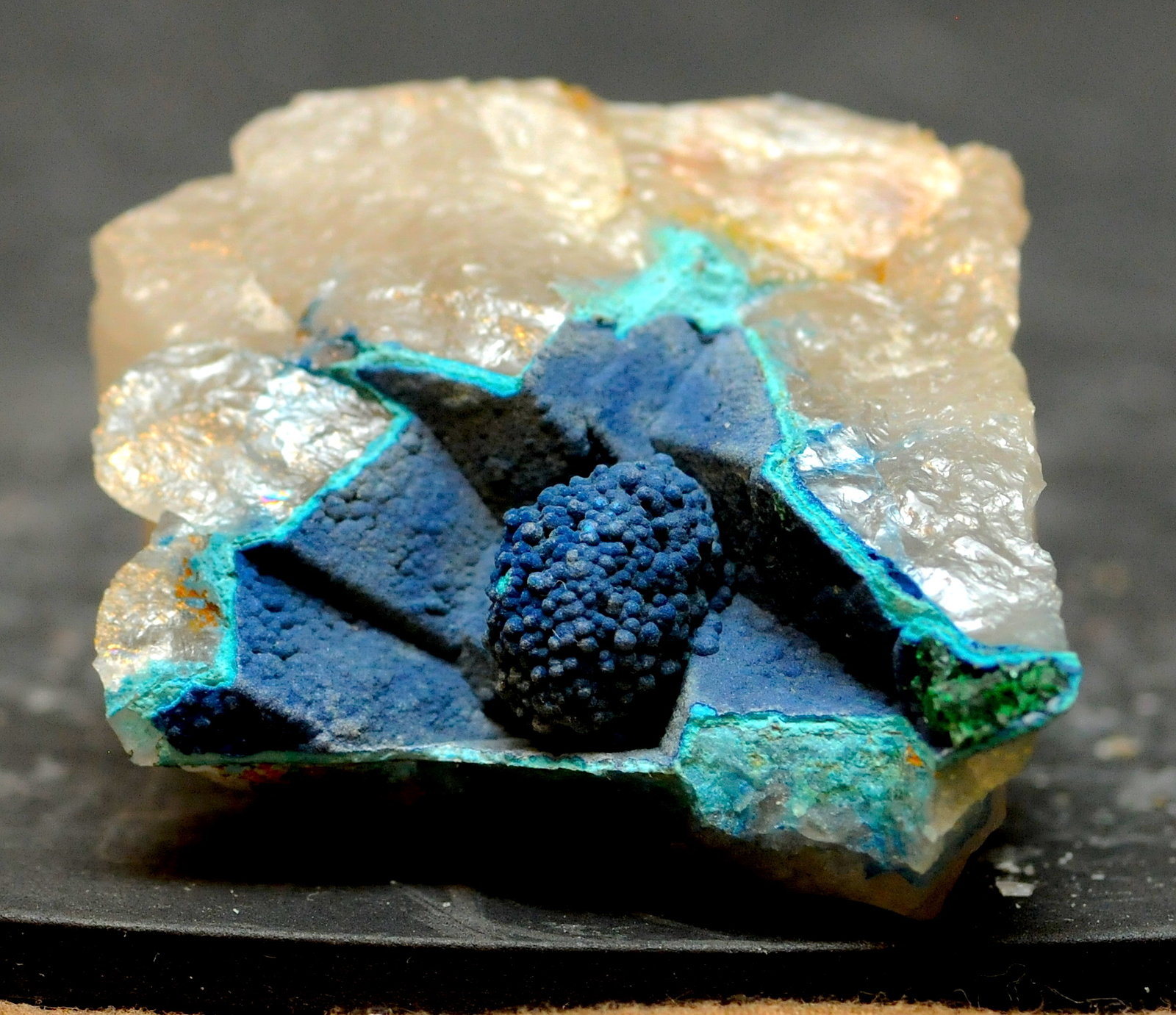 Shattuctite on Quartz
4.3cm x 4cm x 2.69cm
(Autor: steven calamuci)