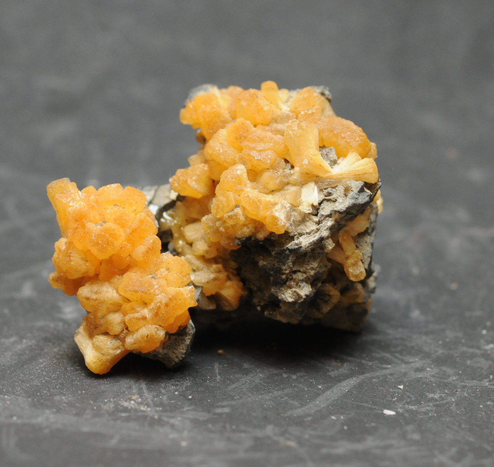 Stellerite
4 x 2.9 x 2cm
(Autor: steven calamuci)