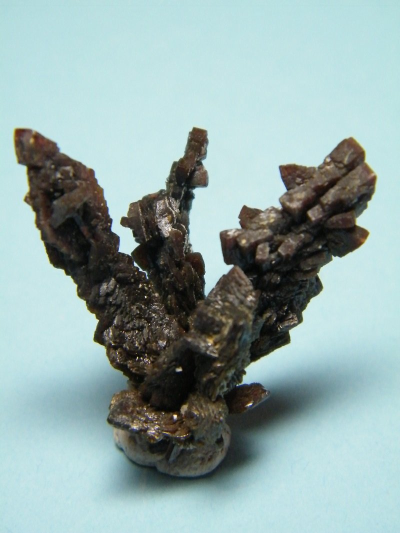 Descloizite
32mm x 30mm x 33mm
(Autor: Heimo Hellwig)