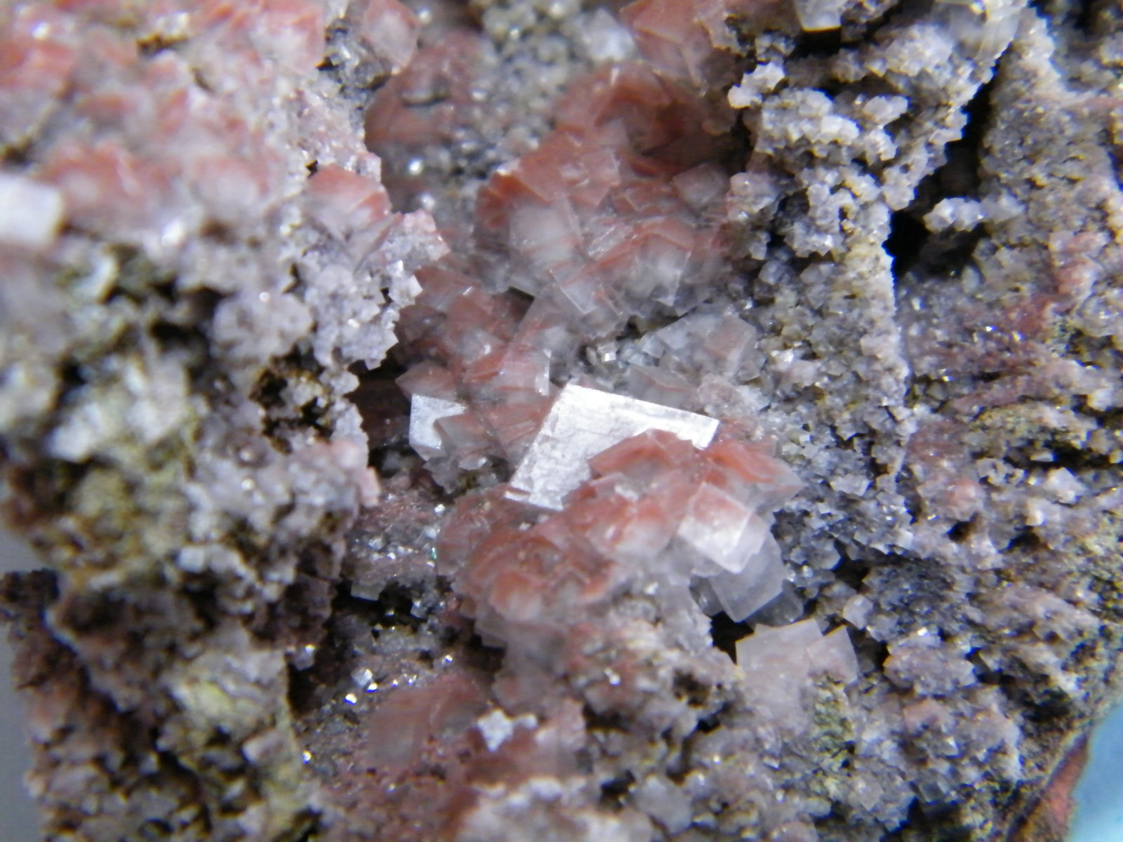 Calcite
69mm x 45mm x 29mm
(Autor: Heimo Hellwig)