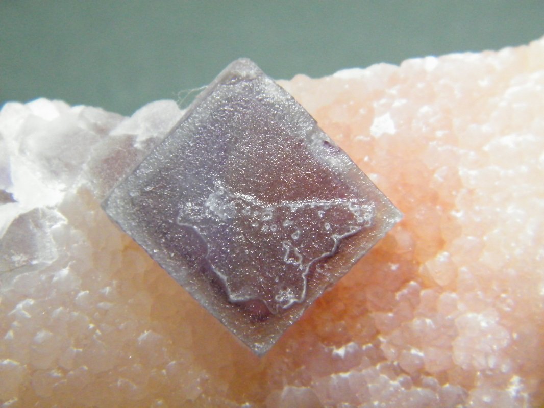Fluorite on Quartz
116mm x 45mm x 28mm
(Autor: Heimo Hellwig)