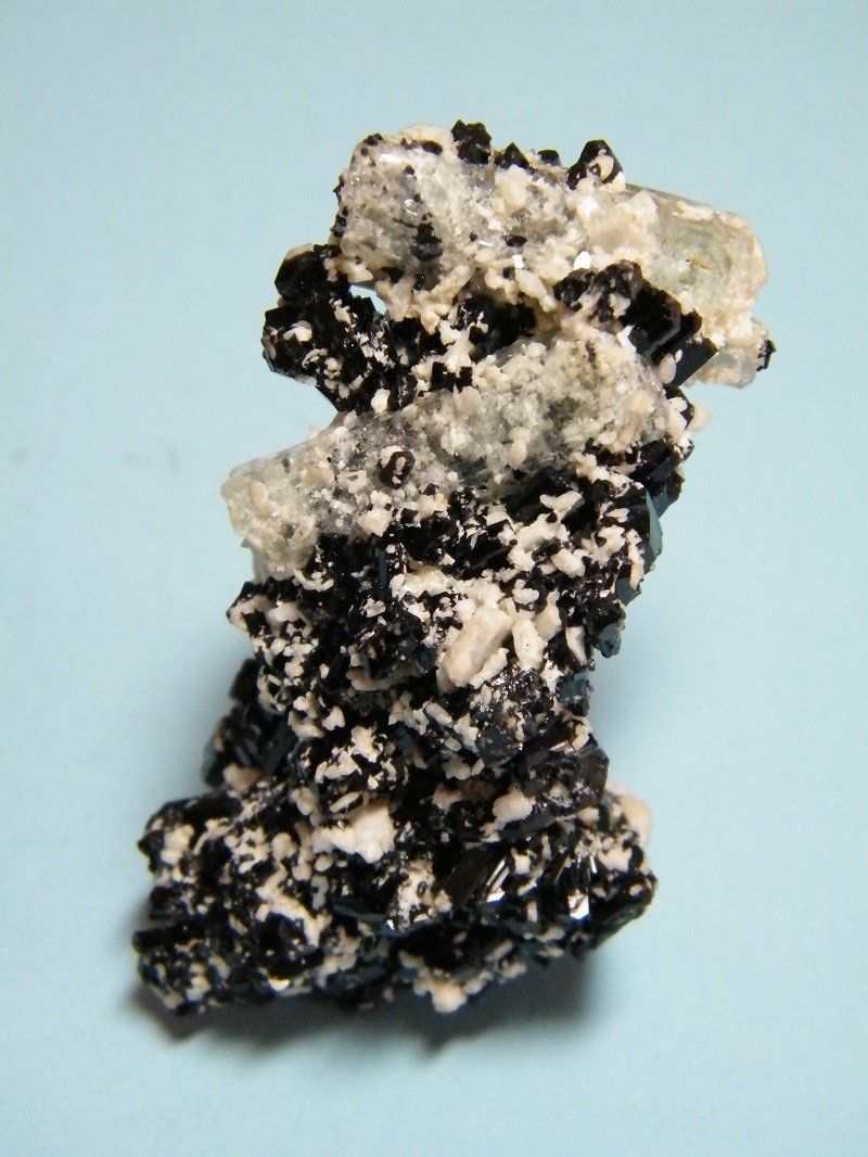 Beryl (variety goshenite) and Schorl
33mm x 60mm x 28mm
(Autor: Heimo Hellwig)