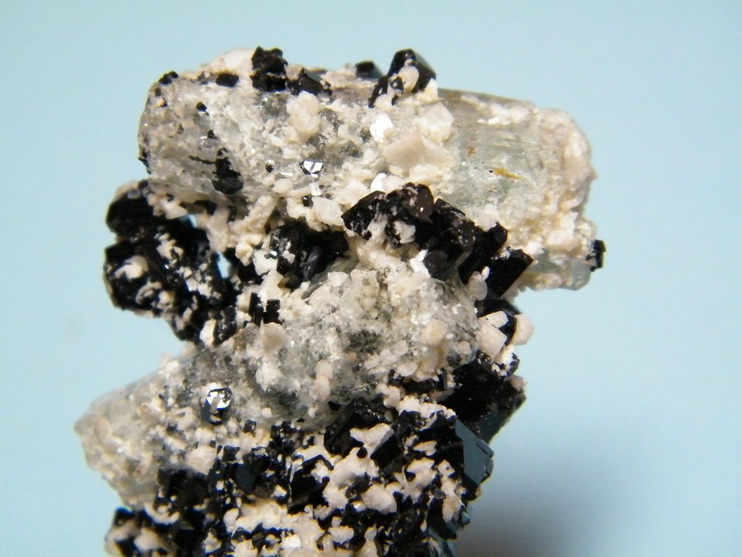 Beryl (variety goshenite) and Schorl
33mm x 60mm x 28mm
(Autor: Heimo Hellwig)