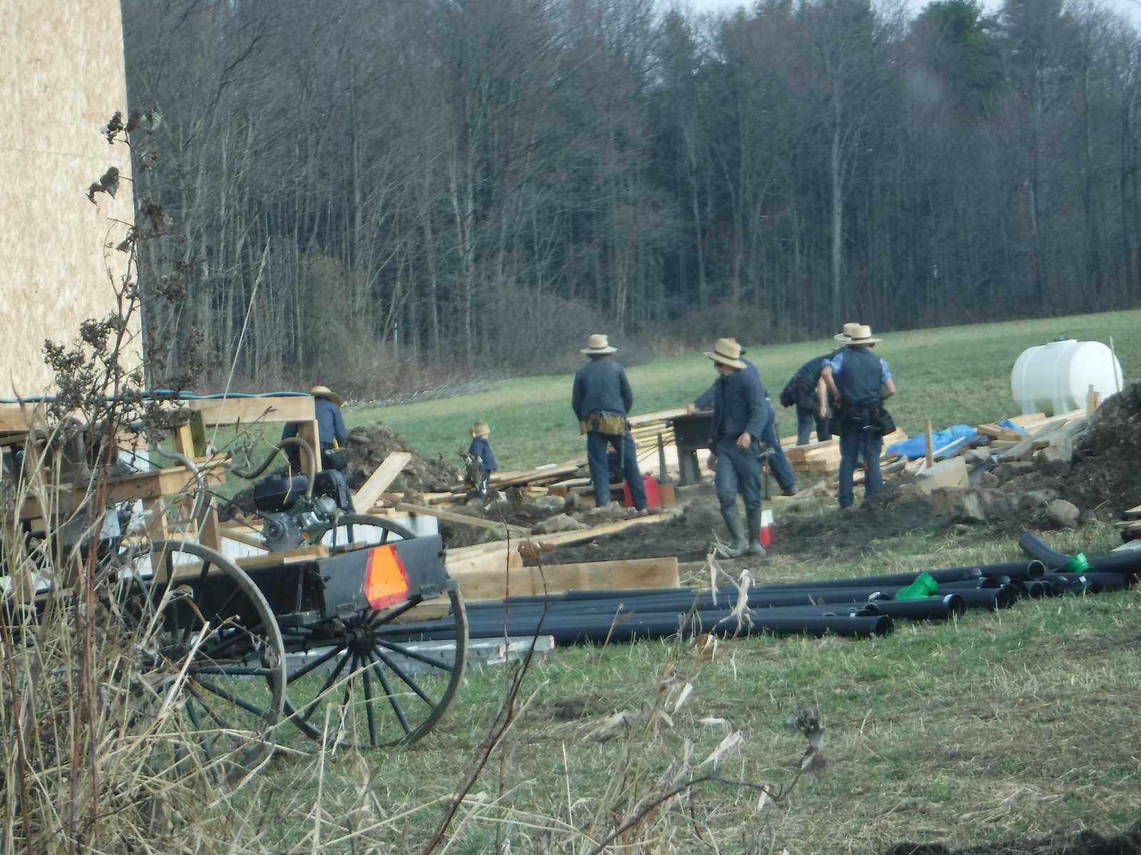 From 65 to 5, they get it done.
(Autor: vic rzonca)