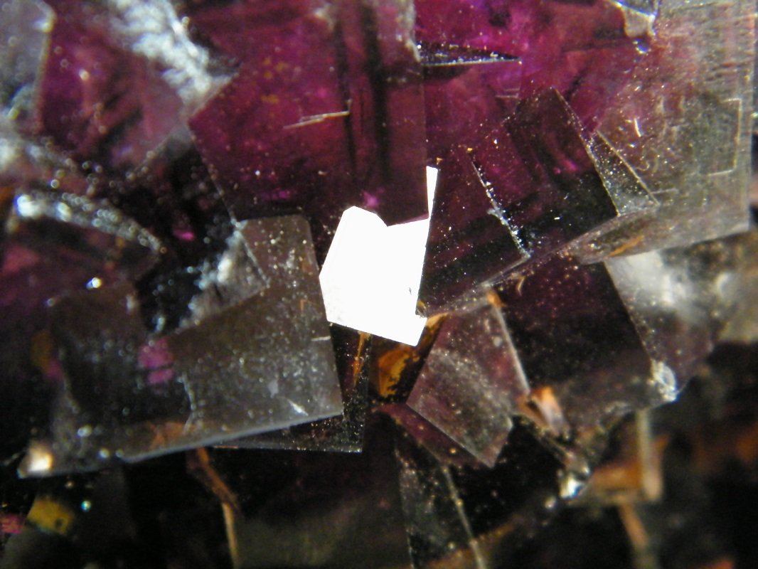 Fluorite
238mm x 159mm x 162mm
(Autor: Heimo Hellwig)