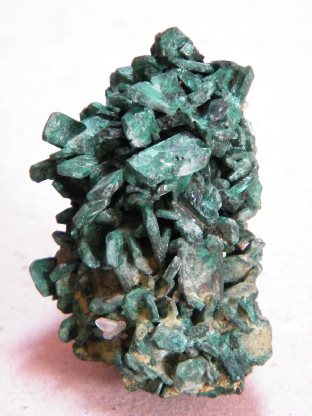 Malachite (Pseudomorph after Azurite)
34mm x 49mm x 31mm
(Autor: Heimo Hellwig)