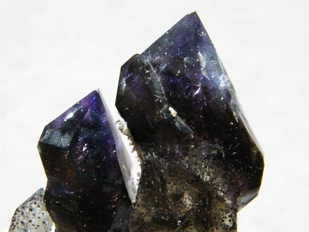 Quartz (variety amethyst)
56mm x 96mm x 40mm
(Autor: Heimo Hellwig)