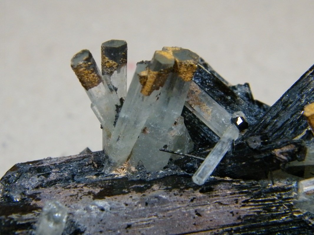Beryl (variety aquamarine) and Schorl
81mm x 58mm x 60mm
(Autor: Heimo Hellwig)