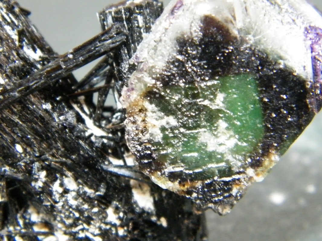 Fluorite and Schorl
51mm x 52mm x 28mm
(Autor: Heimo Hellwig)